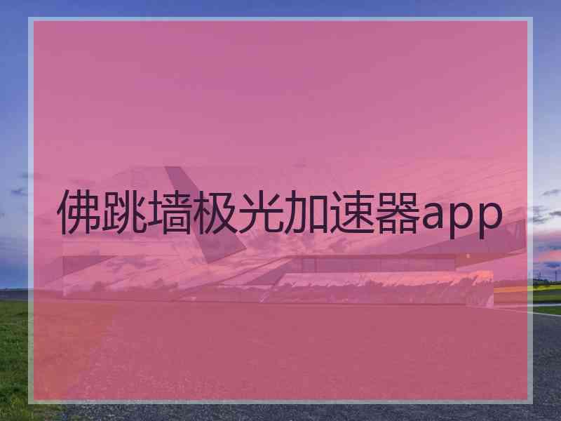 佛跳墙极光加速器app