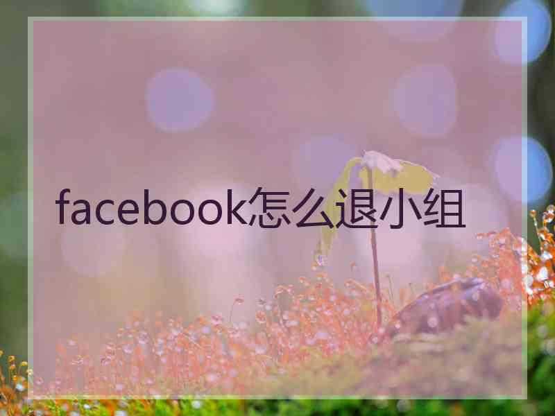 facebook怎么退小组