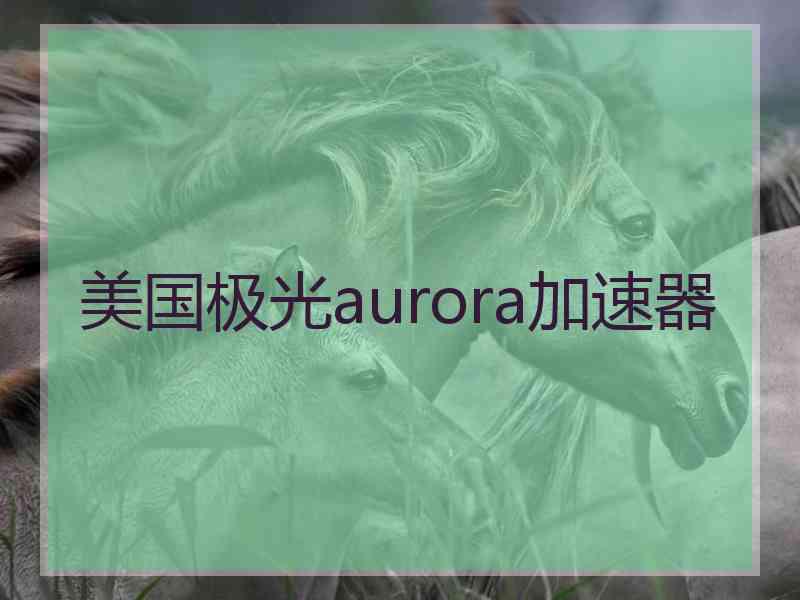 美国极光aurora加速器