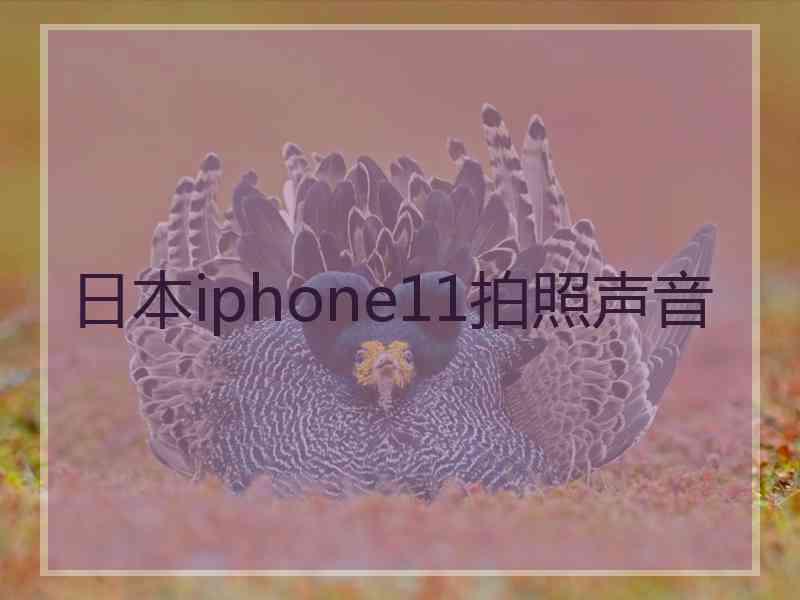 日本iphone11拍照声音