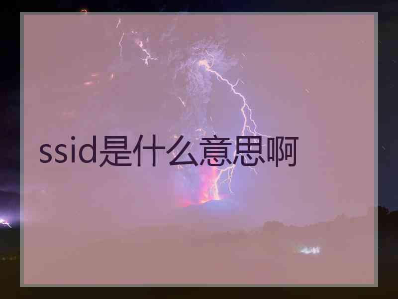 ssid是什么意思啊