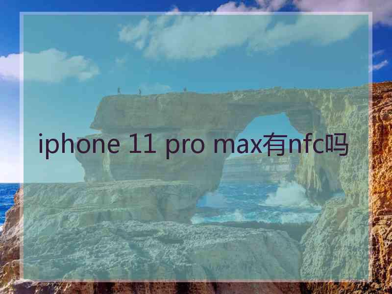 iphone 11 pro max有nfc吗