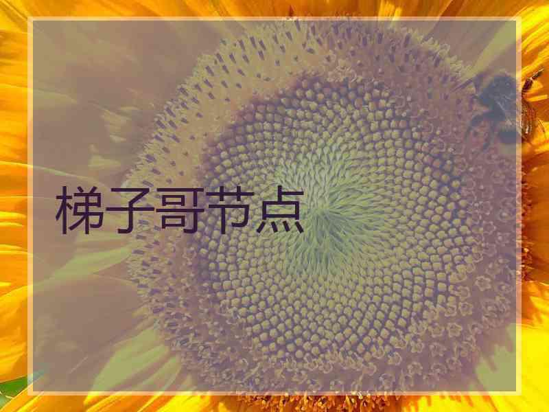 梯子哥节点