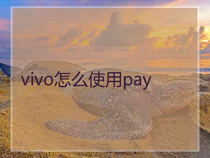 vivo怎么使用pay