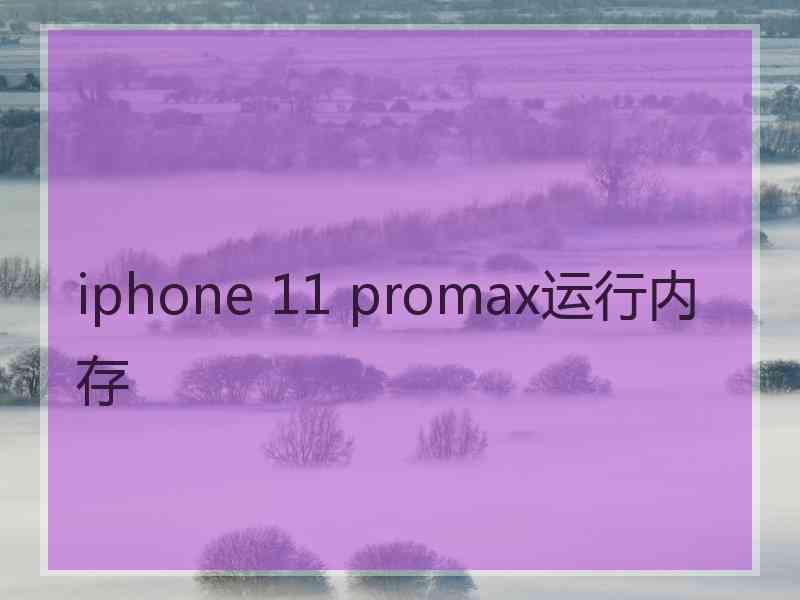 iphone 11 promax运行内存