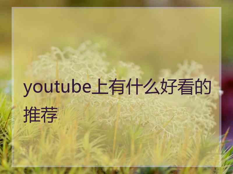 youtube上有什么好看的推荐