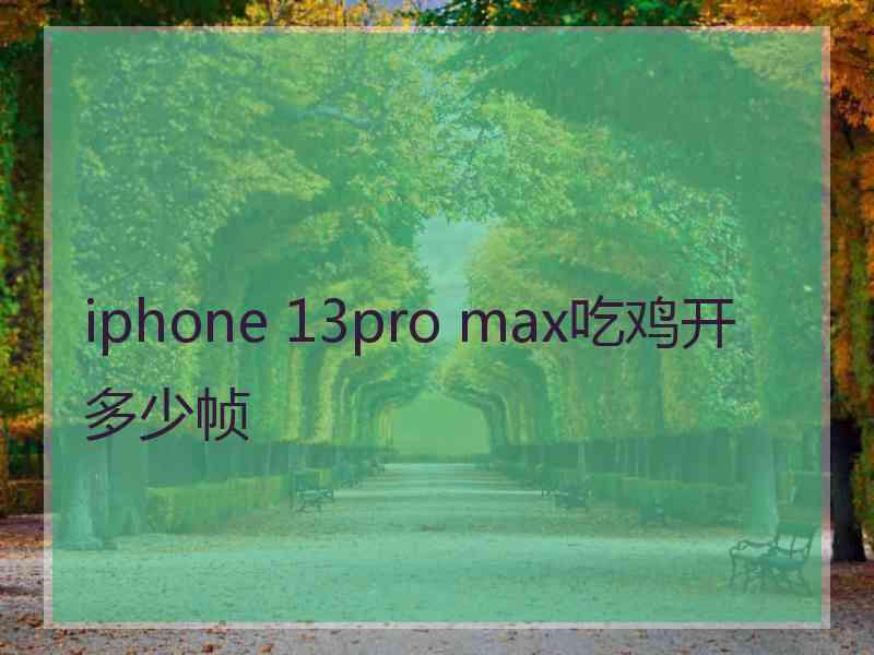 iphone 13pro max吃鸡开多少帧