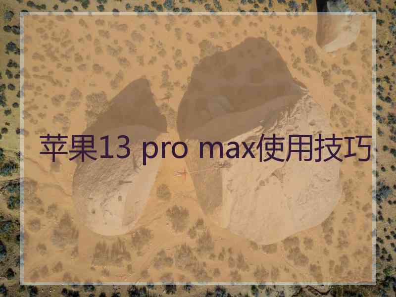 苹果13 pro max使用技巧