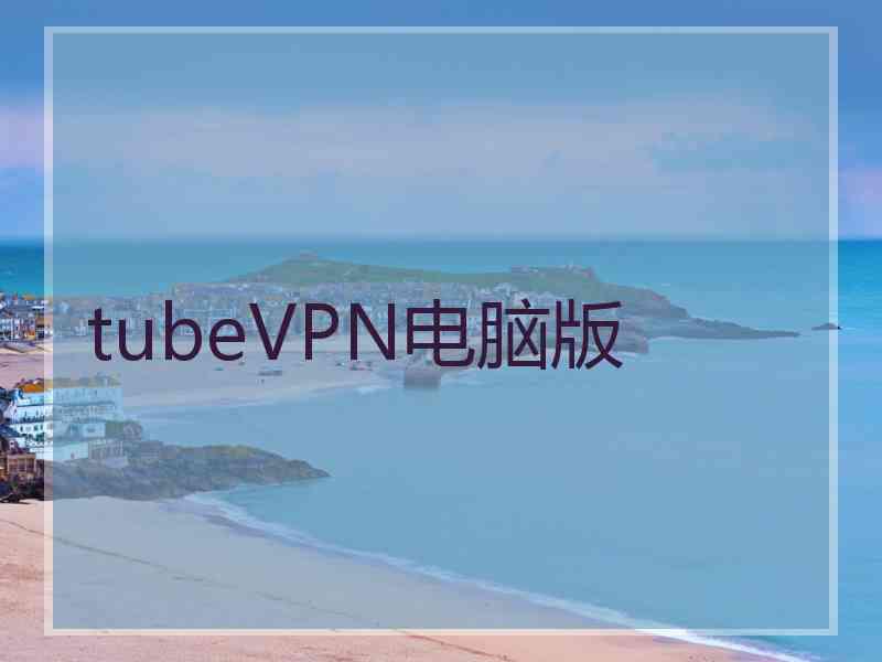 tubeVPN电脑版