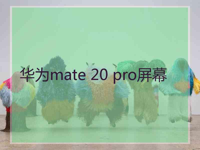 华为mate 20 pro屏幕