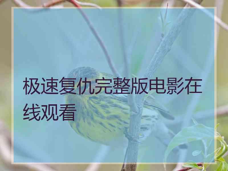 极速复仇完整版电影在线观看