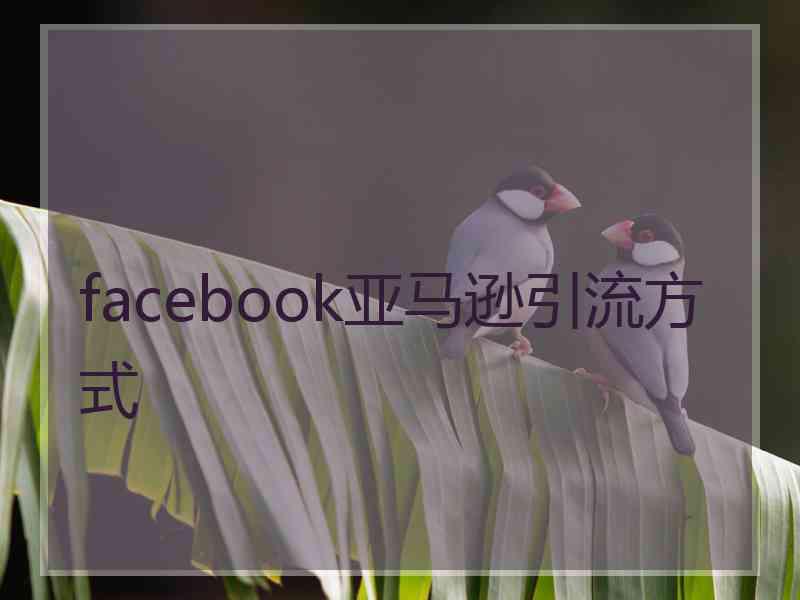 facebook亚马逊引流方式