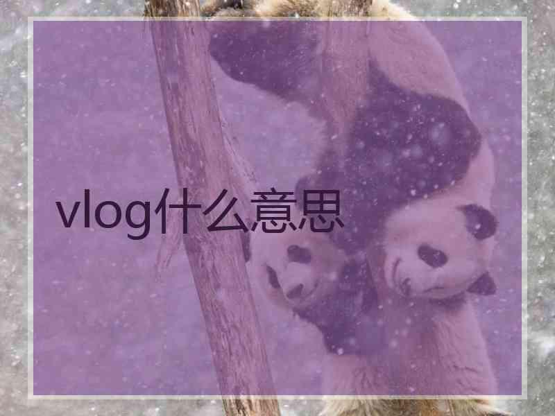 vlog什么意思