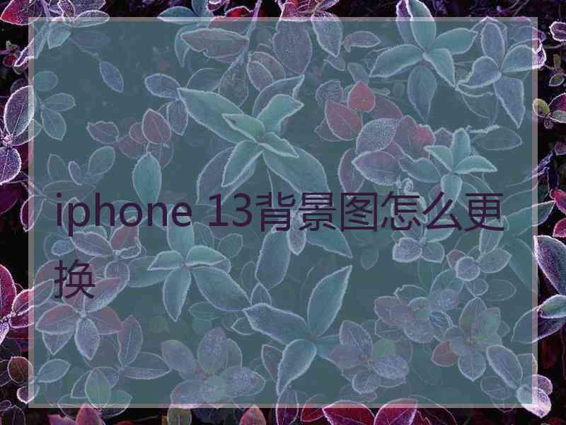 iphone 13背景图怎么更换