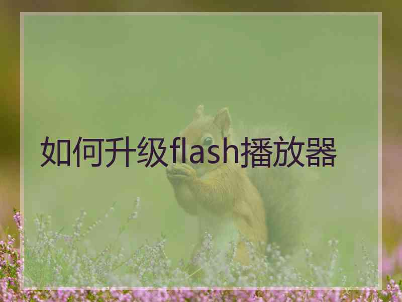 如何升级flash播放器