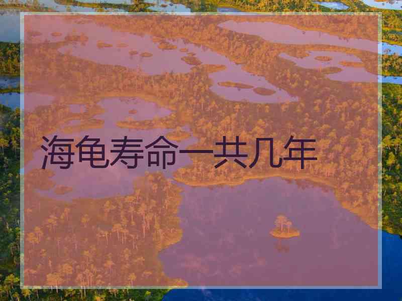 海龟寿命一共几年