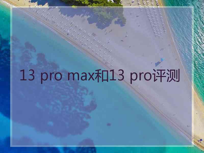 13 pro max和13 pro评测