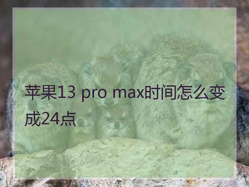 苹果13 pro max时间怎么变成24点