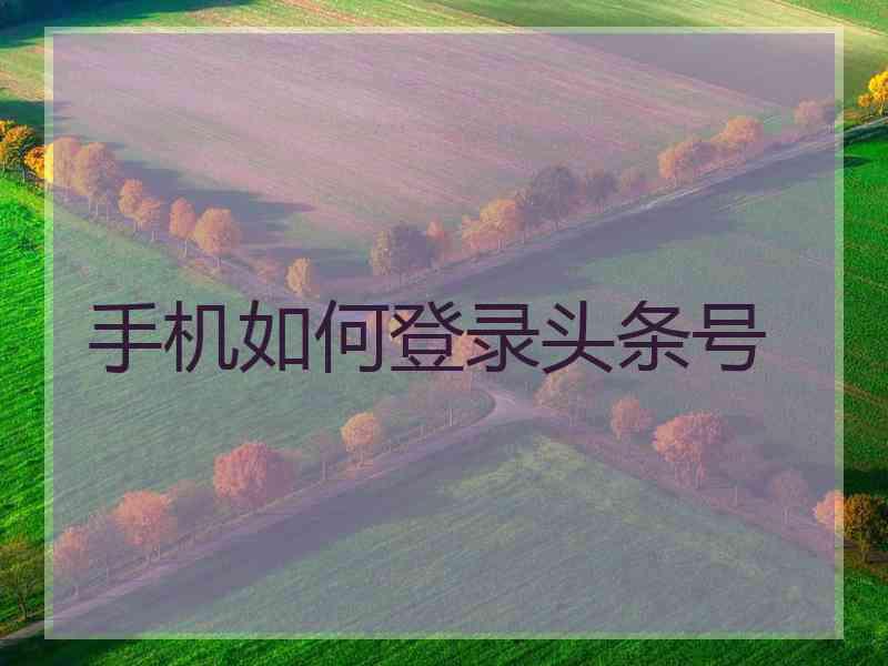 手机如何登录头条号