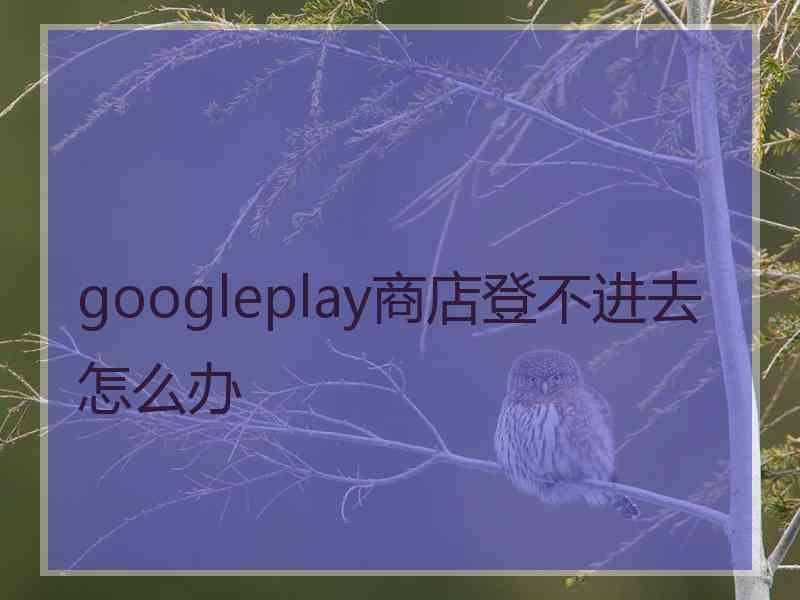 googleplay商店登不进去怎么办