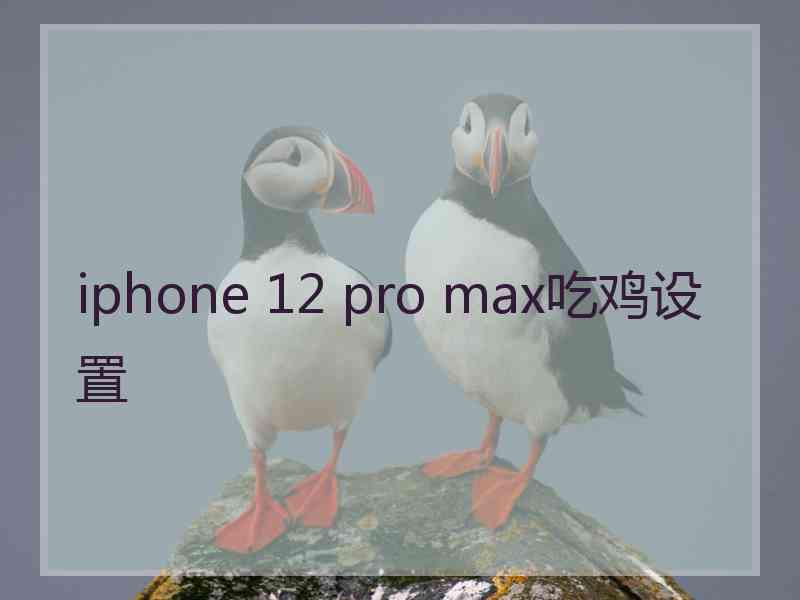 iphone 12 pro max吃鸡设置