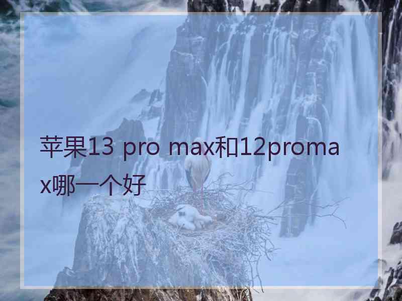 苹果13 pro max和12promax哪一个好