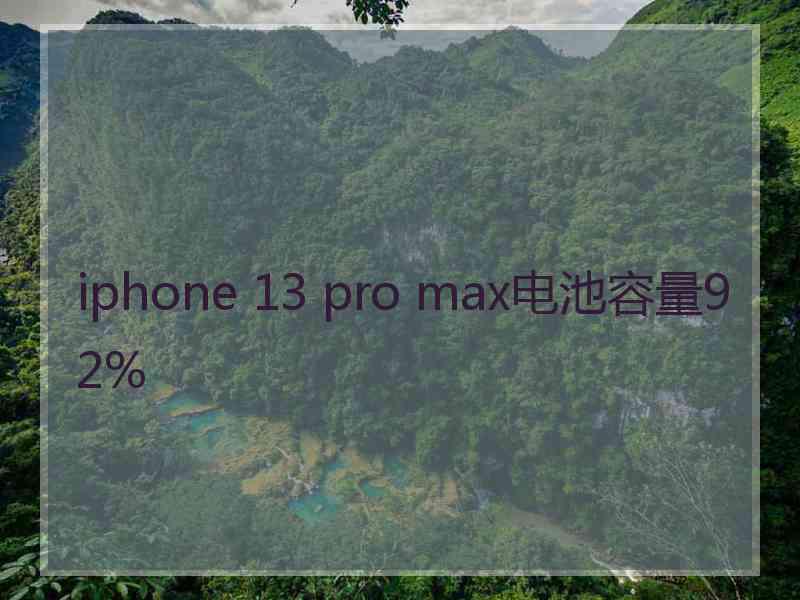 iphone 13 pro max电池容量92%