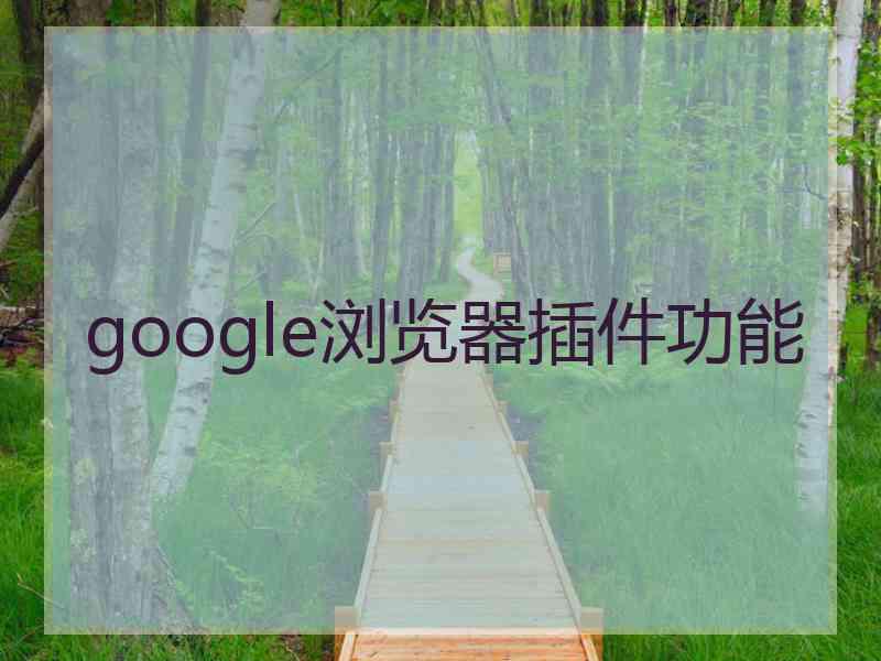 google浏览器插件功能