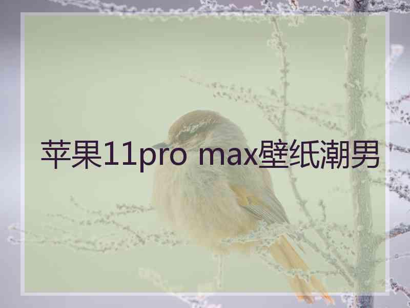 苹果11pro max壁纸潮男