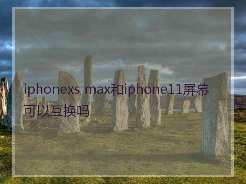 iphonexs max和iphone11屏幕可以互换吗