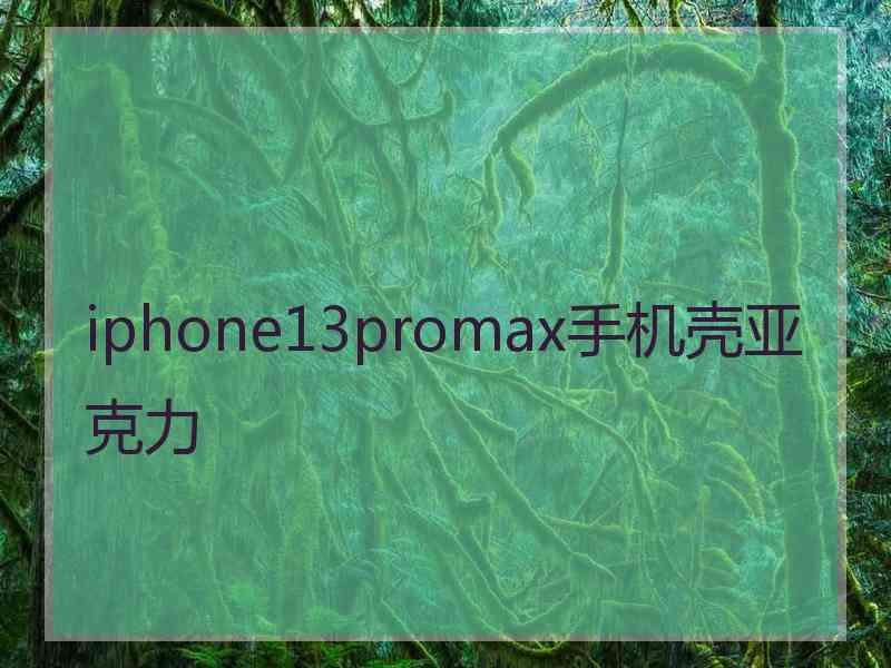 iphone13promax手机壳亚克力