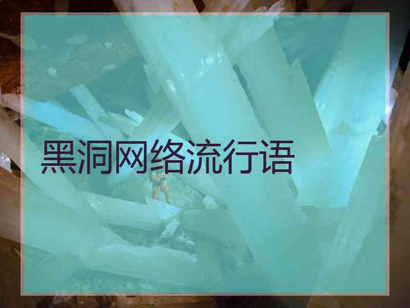 黑洞网络流行语