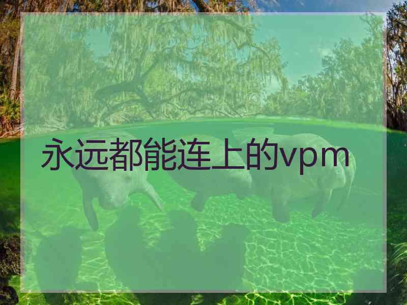 永远都能连上的vpm