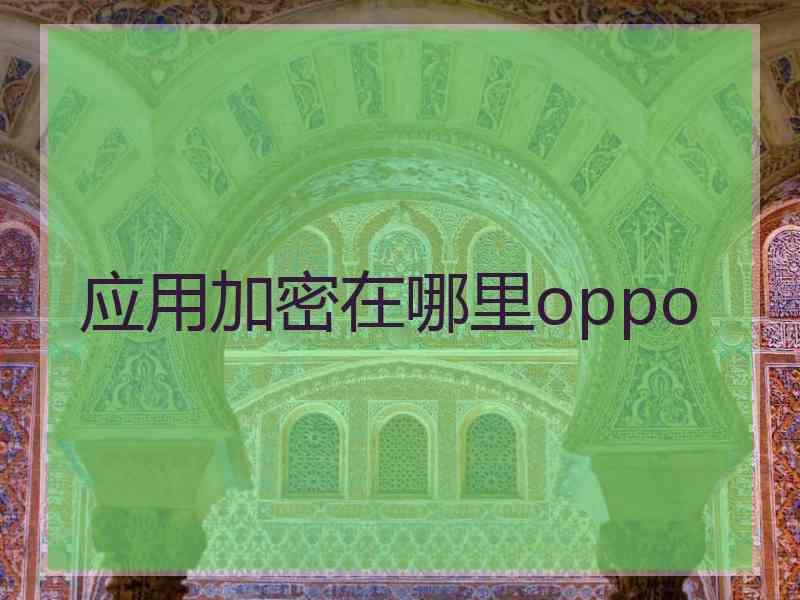 应用加密在哪里oppo