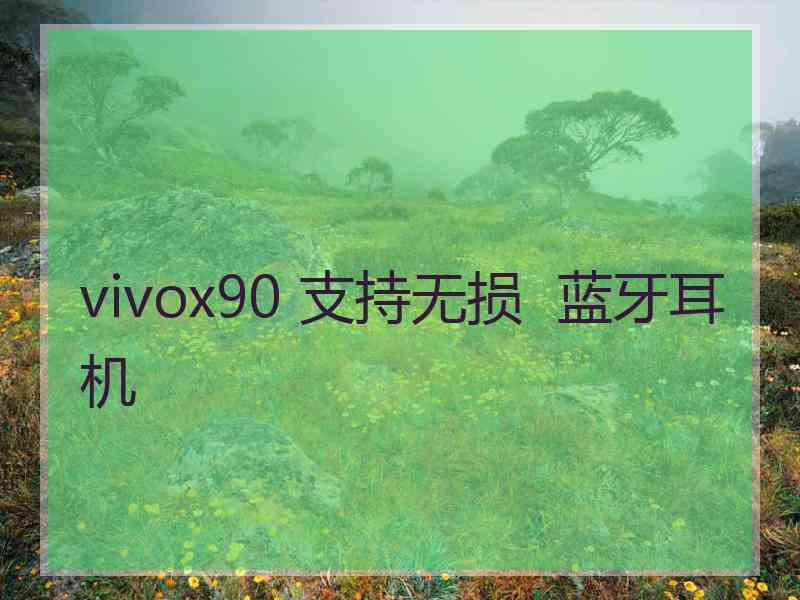 vivox90 支持无损  蓝牙耳机