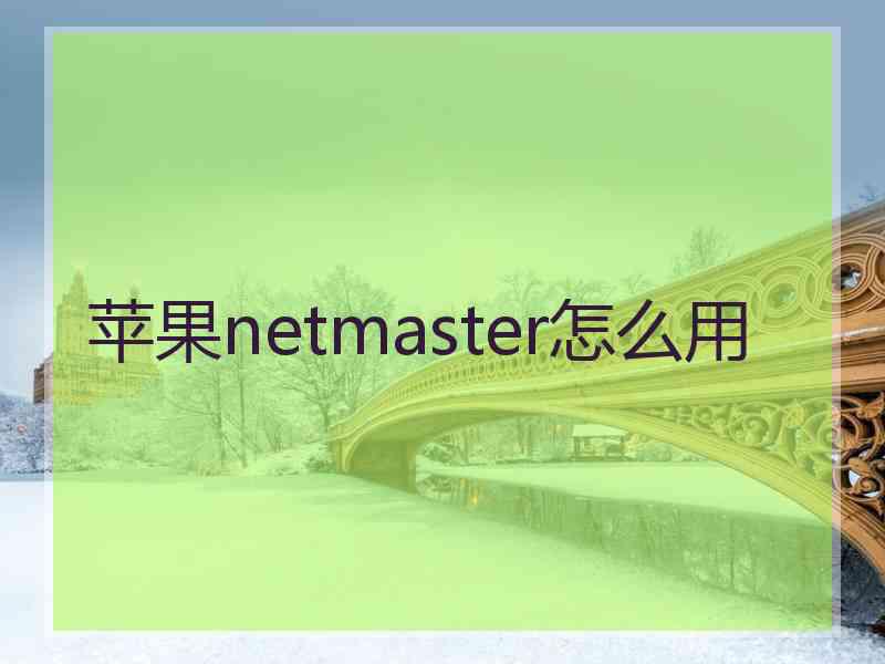 苹果netmaster怎么用