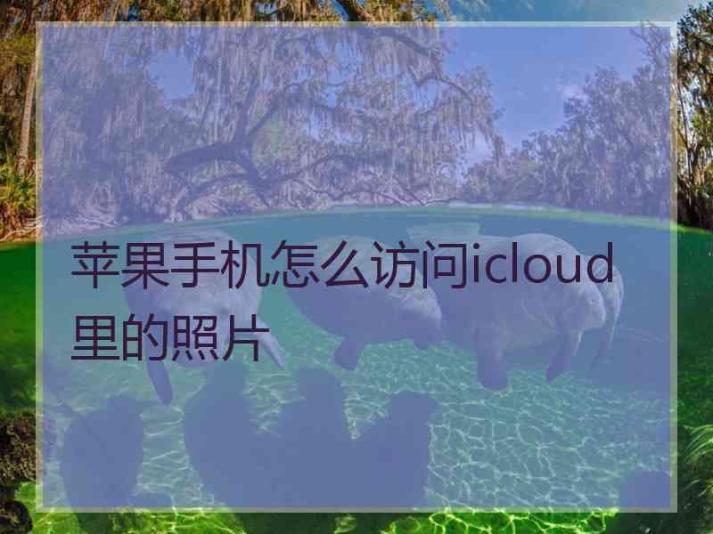 苹果手机怎么访问icloud里的照片