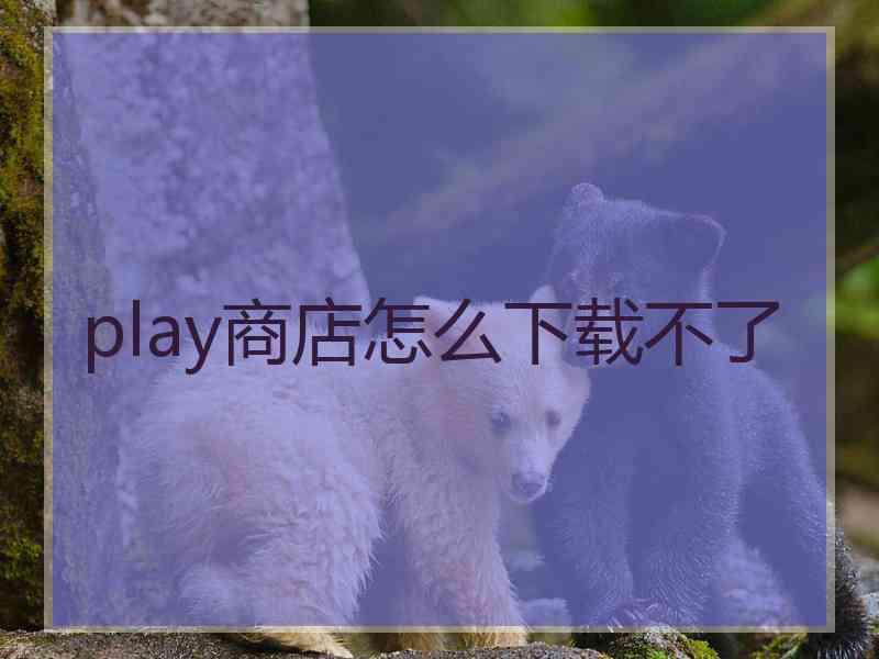 play商店怎么下载不了