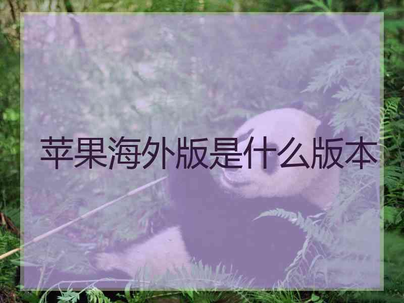 苹果海外版是什么版本