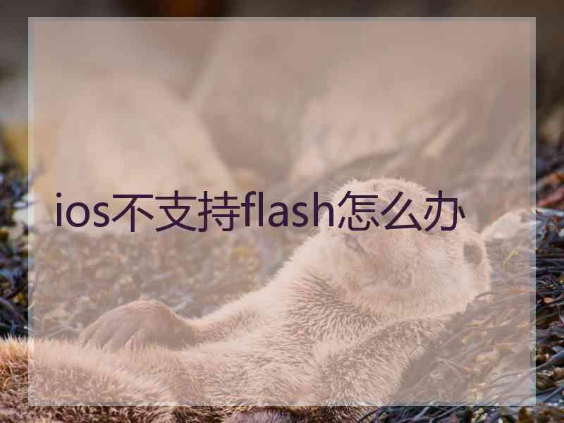 ios不支持flash怎么办