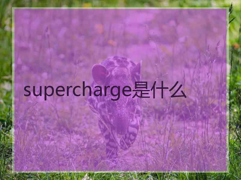 supercharge是什么