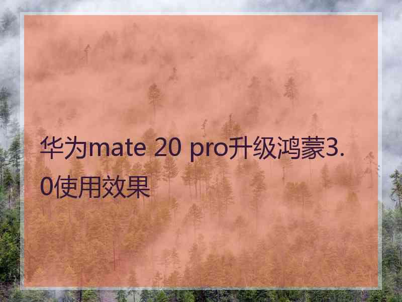 华为mate 20 pro升级鸿蒙3.0使用效果