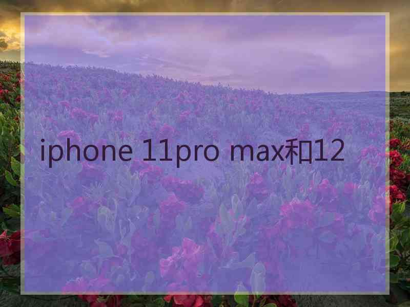 iphone 11pro max和12