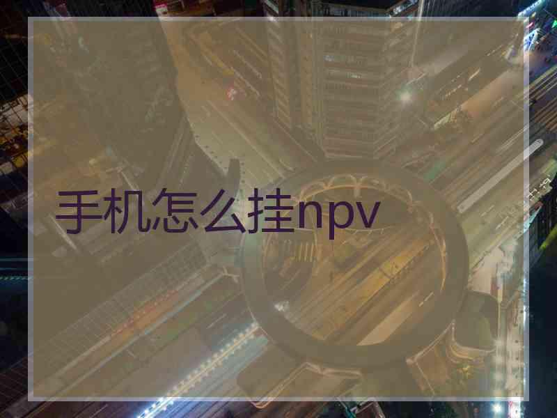 手机怎么挂npv