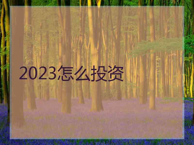 2023怎么投资