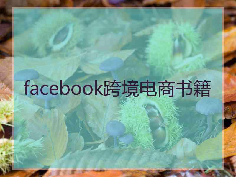 facebook跨境电商书籍