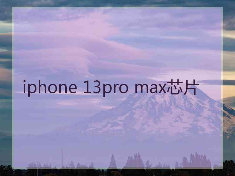 iphone 13pro max芯片