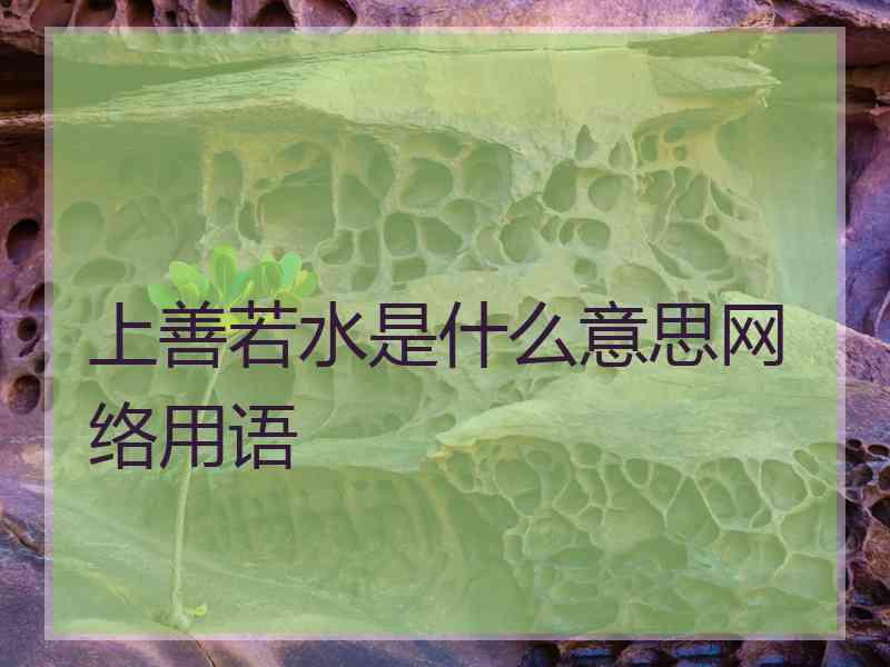 上善若水是什么意思网络用语