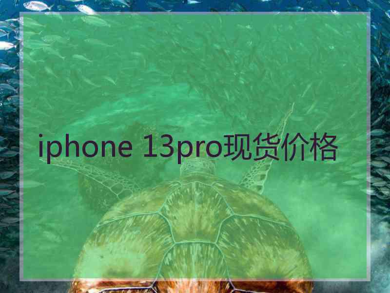 iphone 13pro现货价格