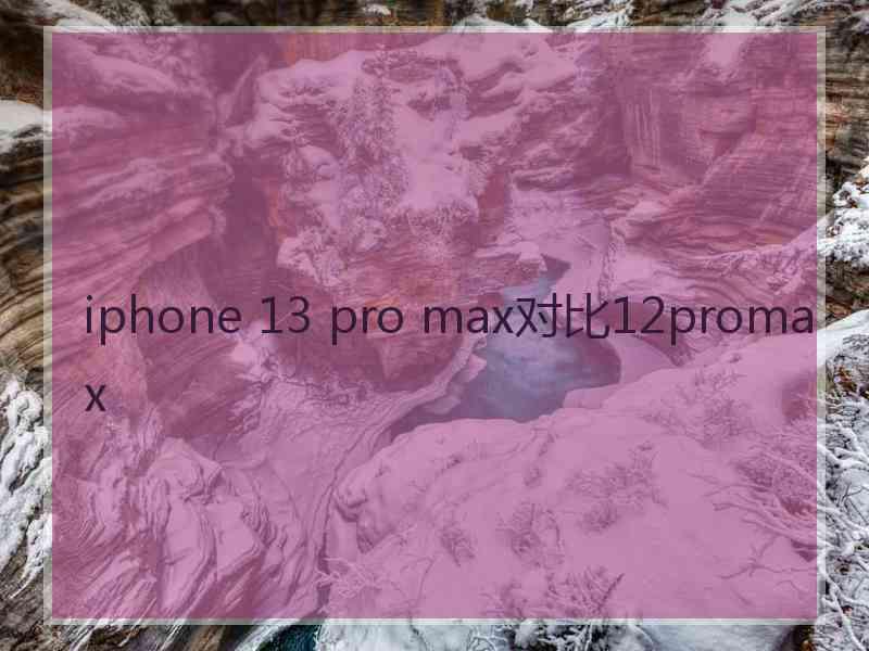 iphone 13 pro max对比12promax